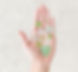 Beach Sea Glass