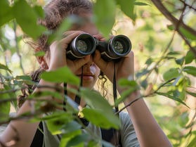 Girl with binoculars among the leaves