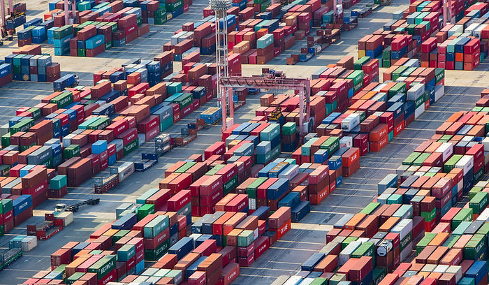 Rhishus Freight Logistic Solutions - Navi Mumbai