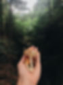 Hand hält Pilze