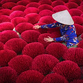 Traditional incense village of Ha Noi, Vietnam