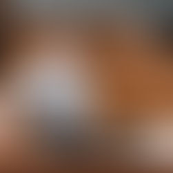 Il lato oscuro della DAD: abbandono delle lezioni, lacune e cibo ridotto per molti studenti