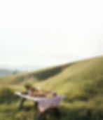 Picnic in Green Field
