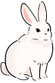 White Rabbit Illustration
