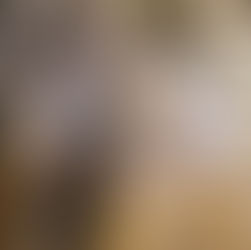 Lessons To Inspire You As We Enter Into A New Year!