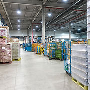 GE Consult Business Consultant Malaysia for Wholesale industry