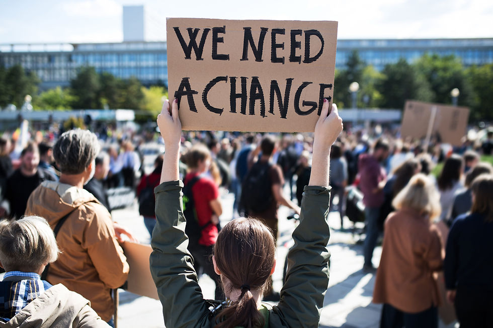 Protest Sign Display