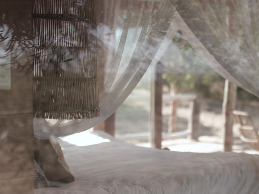 The Ultimate Self-Care Guide: Nurturing Your Mind, Body, and Soul