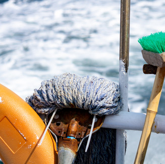 Cleaning Supplies