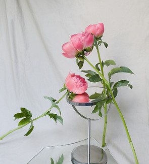 Pink Peonies Display