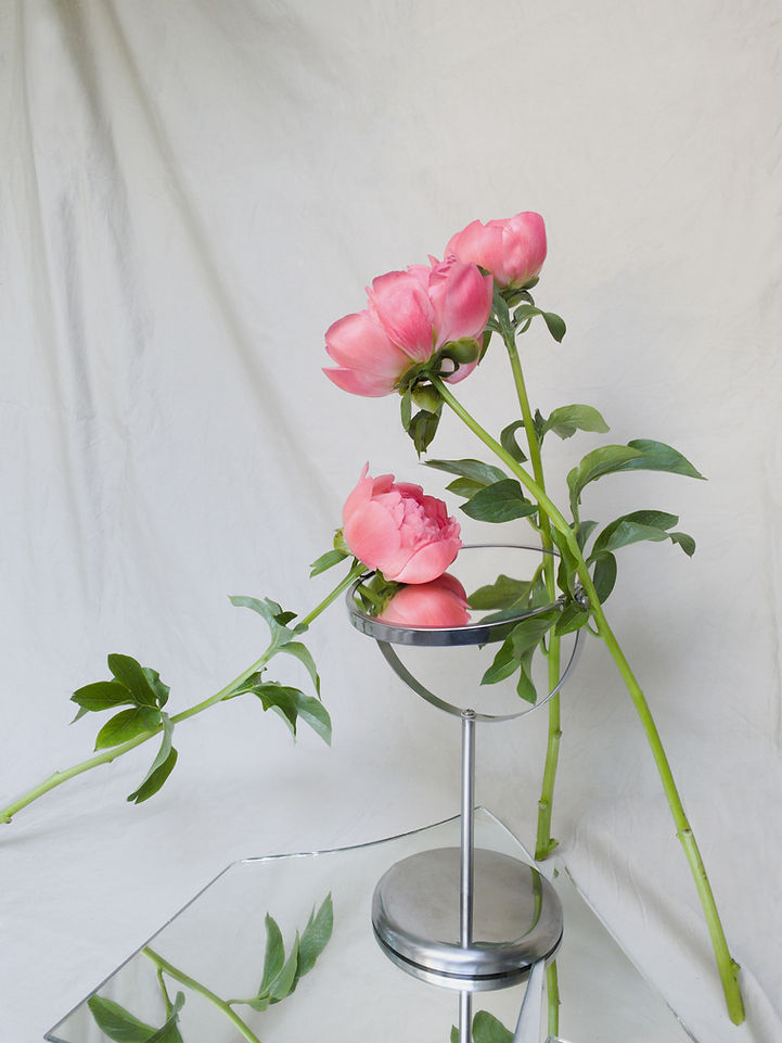 Pink Peonies Display