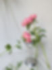Flores cor de rosa