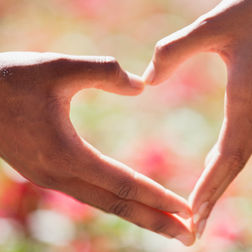 2021 May ONLINE One-day Compassion (Karuṇā) Retreat led by Visu Teoh
