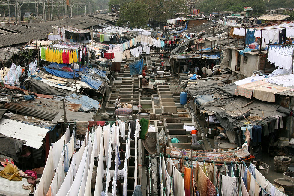 Scrap Yard