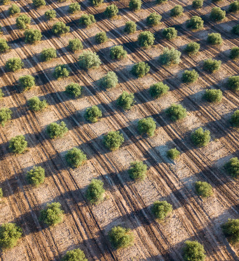 Equipe técnica analisando mapas urbanos e zoneamentos territoriais para desenvolvimento do Planejamento de Uso e Ocupação do Solo.