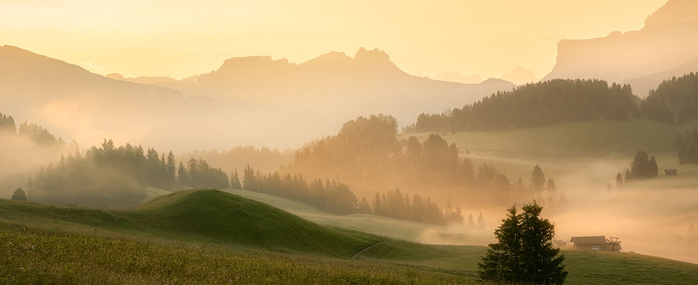 Hilly landscape at dawn