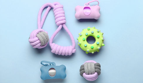 Products for Dogs