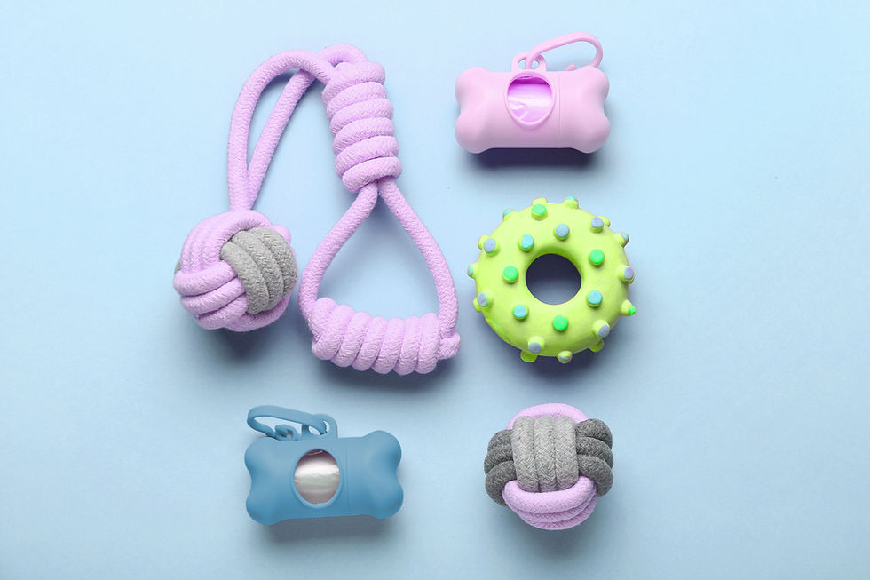 Coleção de brinquedos para animais de estimação