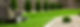 lawn mower on the green grass