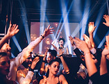 Entertainment Venue Security