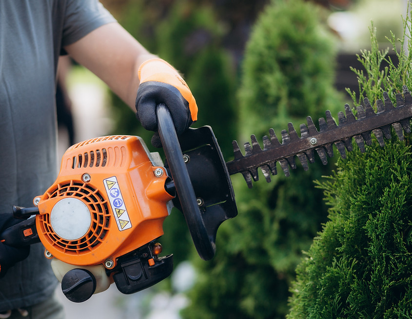 Hedge Trimmer Use