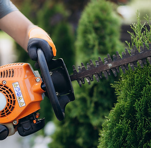 Hedge Trimmer Use