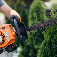 Trimming Shrubs