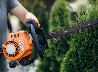 Hedge Trimmer Use