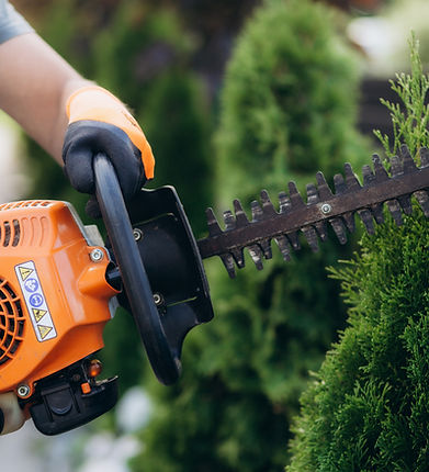 Sträucher beschneiden