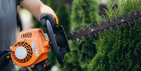 Hedge Trimmer Use