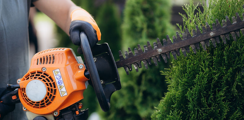 Trimming Shrubs