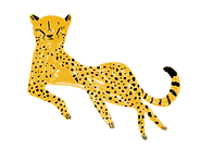 Cheetah