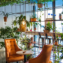 Café avec des plantes