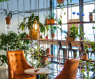 Coffee Shop With Plants