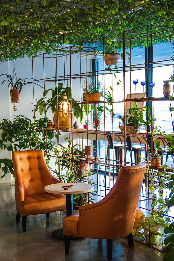 Café avec des plantes