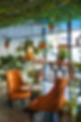 Coffee Shop With Plants
