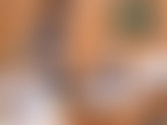 アメリカの教育制度：子どもに合う学校選びのポイント