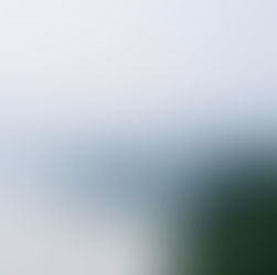 Рейсы Москва — Пхеньян не оправдали ожиданий: спрос оказался минимальным