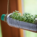 Jardinera de botellas recicladas
