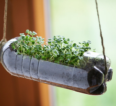 Recycled Bottle Planter