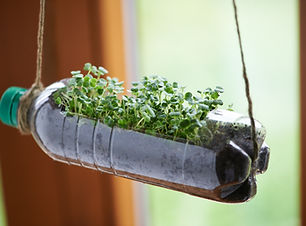 Recycled Bottle Planter