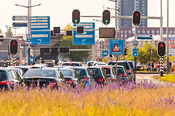 Stop Light