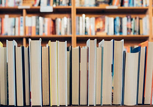 Library books in a row