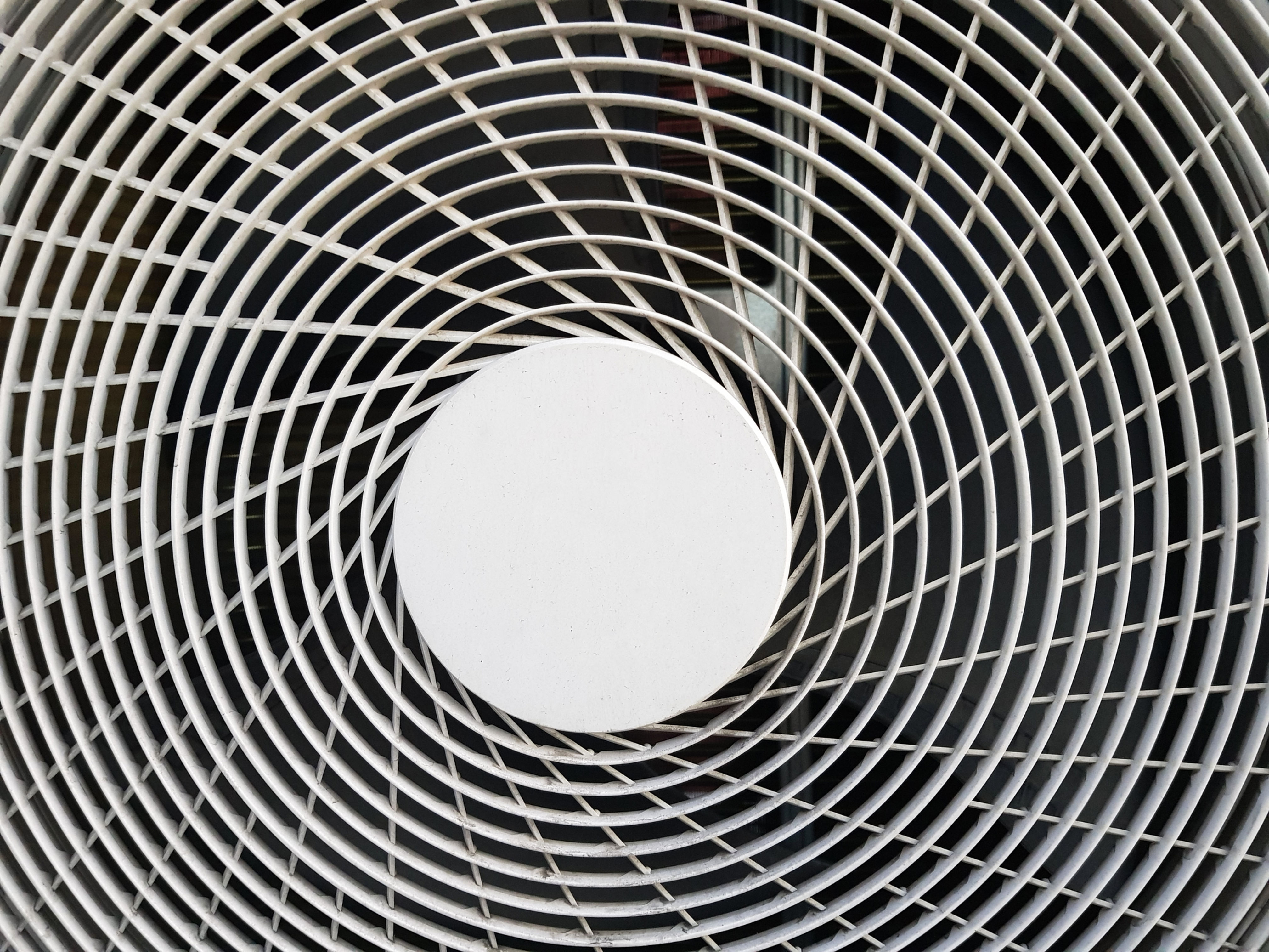 Bird screen