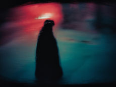Midlife is when the Darkness comes Knocking