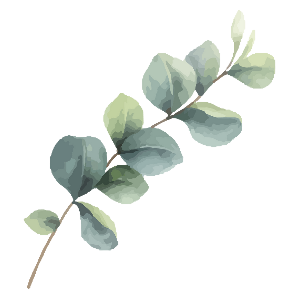 ユーカリの葉のイラスト