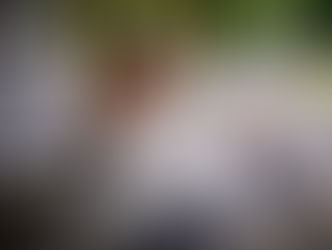 LGBTQ+ youth are 3 times more likely to have risky online interactions