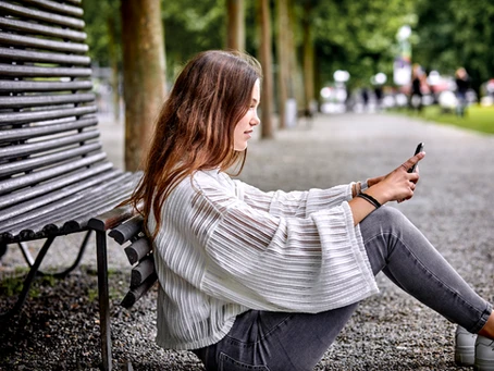 Neem online Nederlandse les anders ben je straks ‘anderlands’