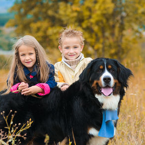 Pets - a child's best friend 