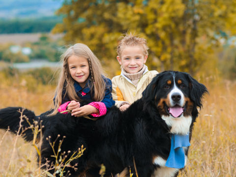 Children with a dog